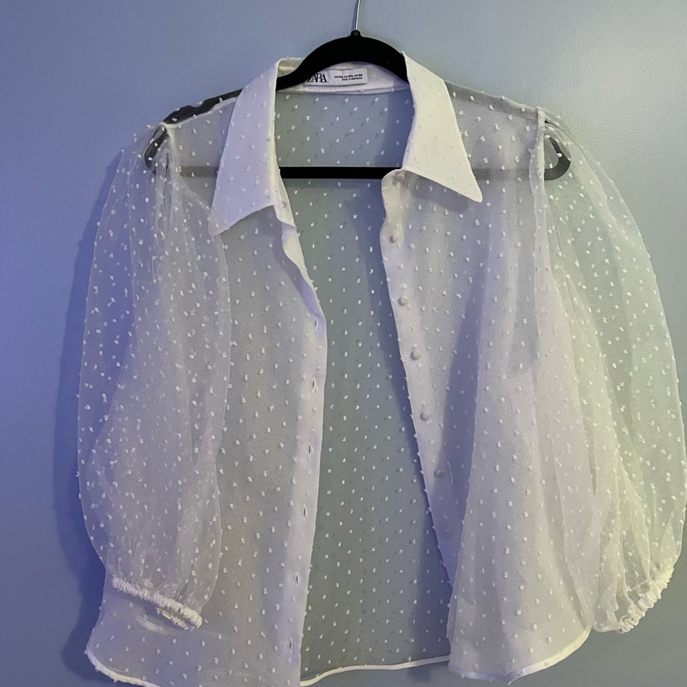 Sheer Zara Blouse